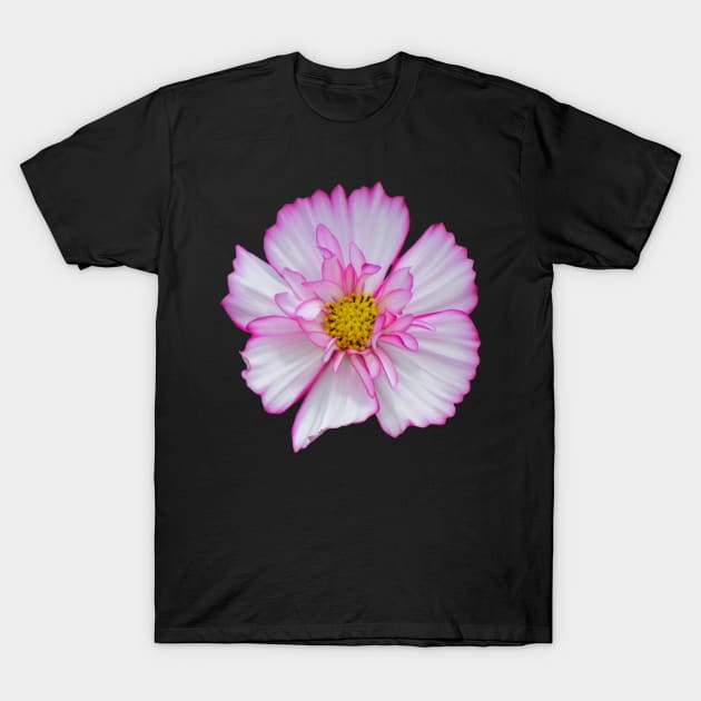 pink flower, blooms, flowers, petals, garden T-Shirt by rh_naturestyles